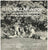 Peter Sinclair Narrates 'How Uenuku Became A Rainbow And Other Popular Childrens Stories